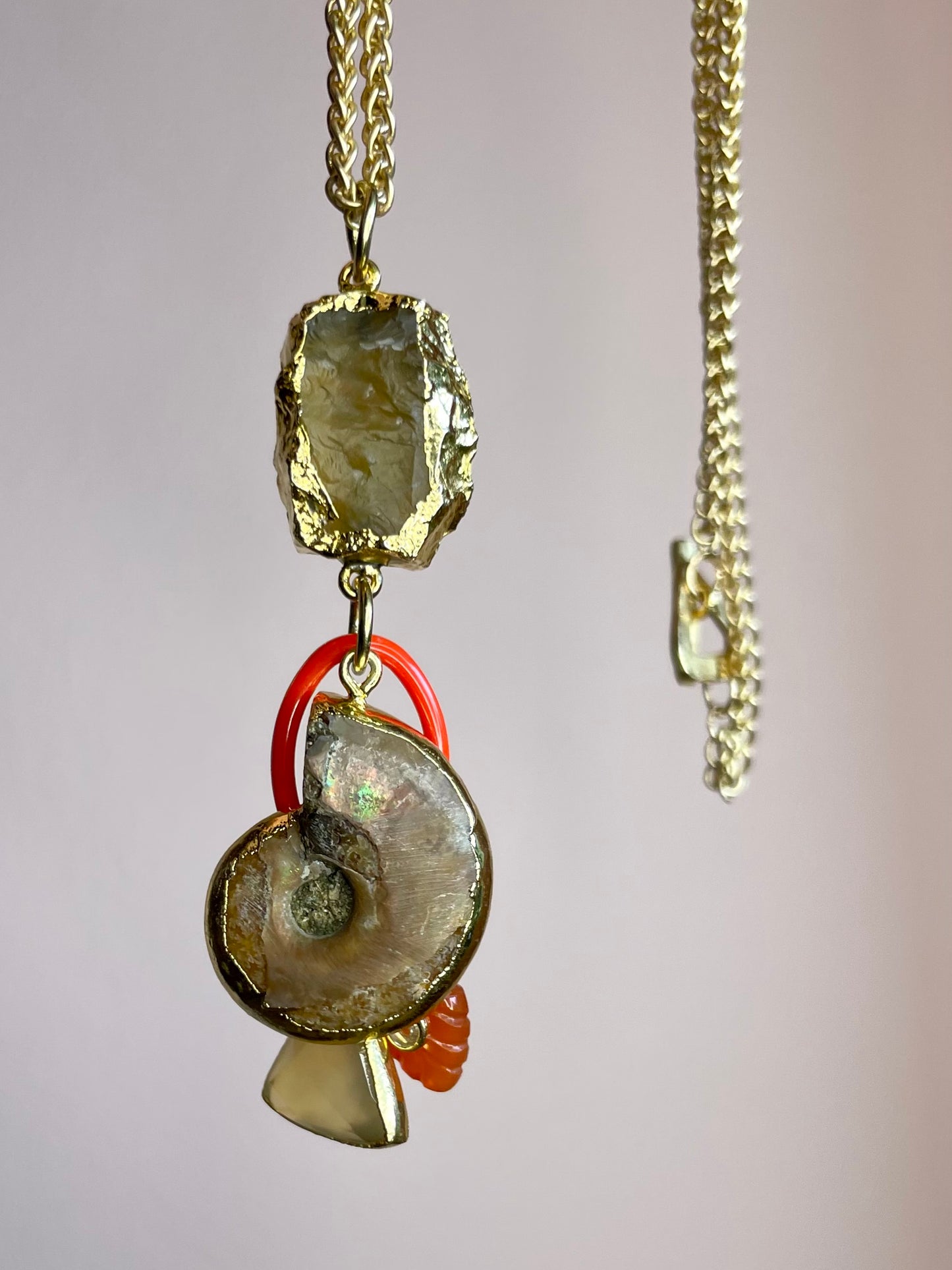 Nautilus Charm Necklace